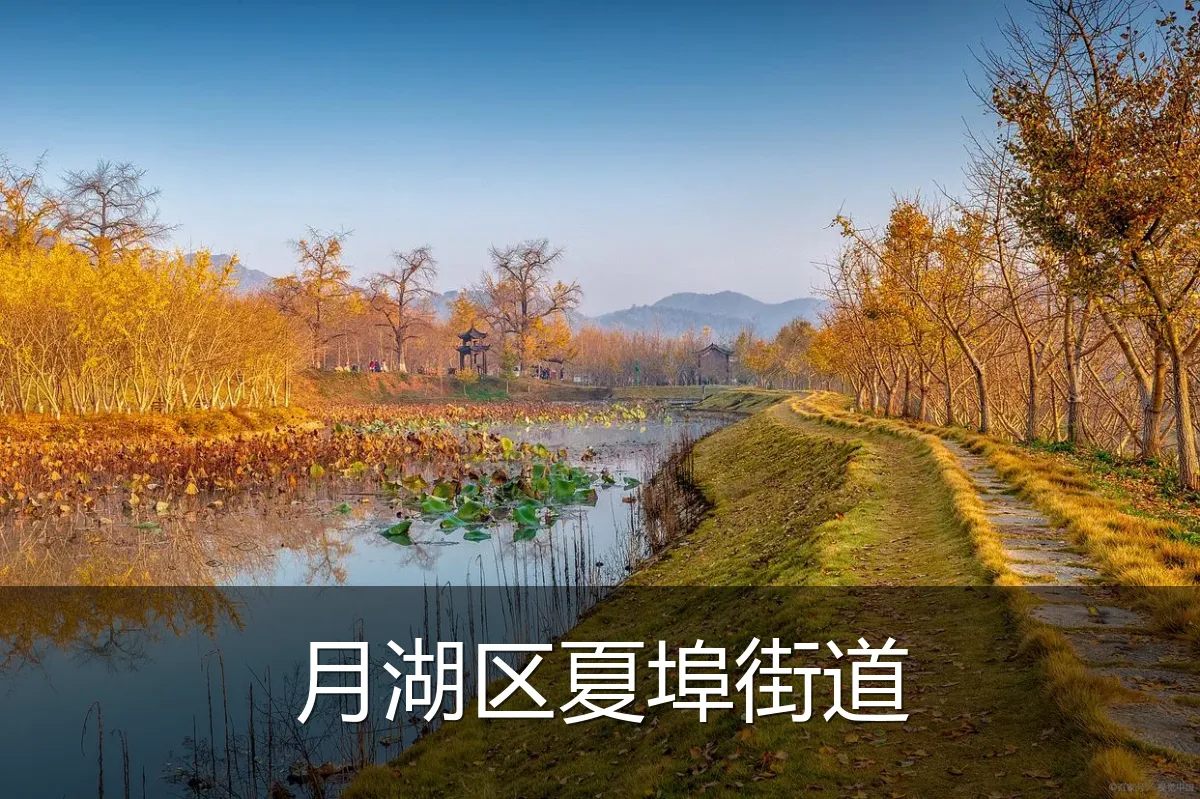 月湖区夏埠街道